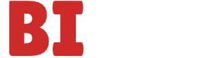BIZZI ONLINE LTD 